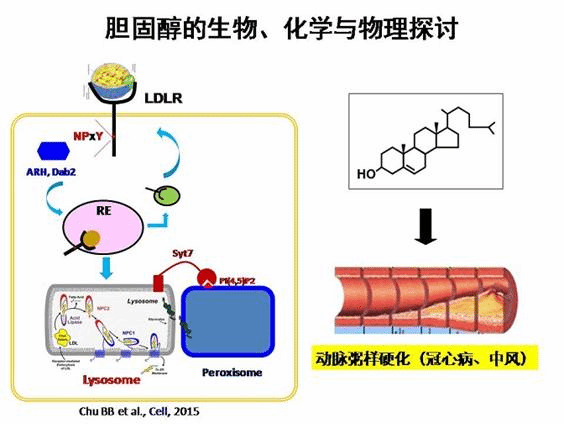 http:/Public/js/cn/kindeditor/attached/image/20160115/20160115022600_33365.jpg