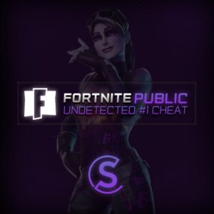 Fortnite Public